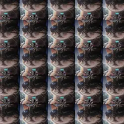 写真9枚で音ハメ