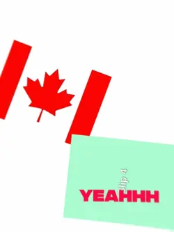 TREND FLAG