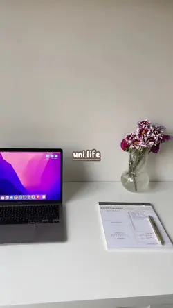 uni life 