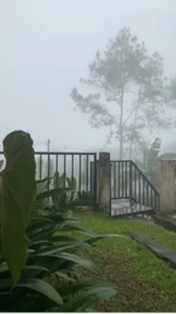 Hujandipagihari