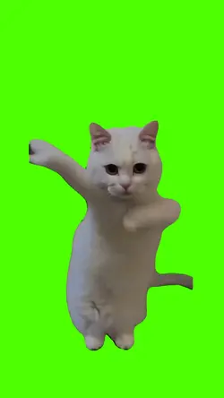 Cat Dance Meme