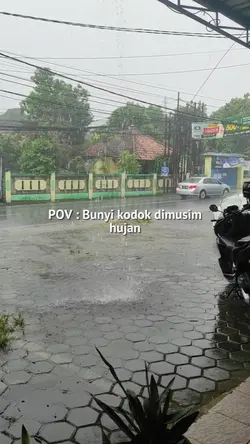 Bunyi kodok
