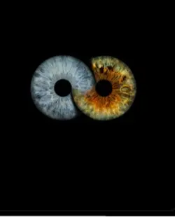 hazel eyes 