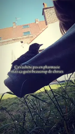 Les animaux >>>