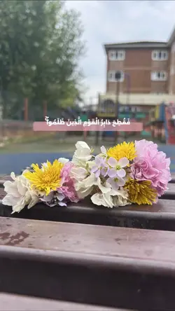 سورة الأنعام 