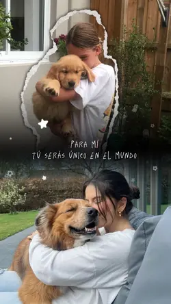 Día del perro 🐶