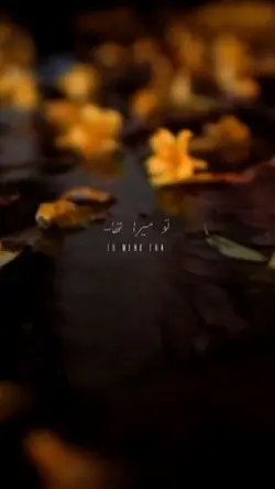 Tu Mera Tha. Laykin 