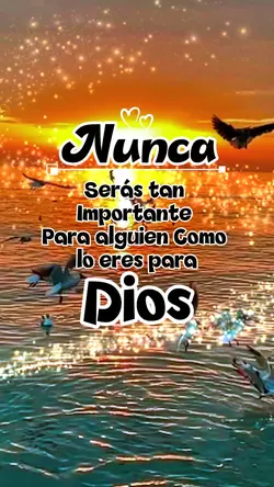 Nunca.!