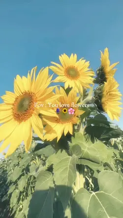 Pov;you love flowers