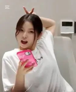 반전 템플릿