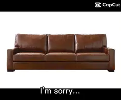 Lacy couch case..