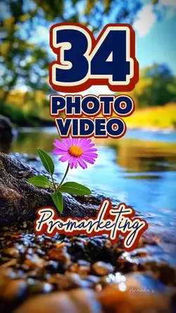 34 clip or photo