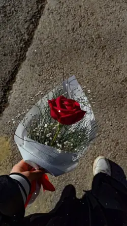هسه ماگو.! 
