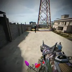 cod