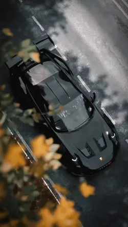 PORSCHE—TEMPLATE 