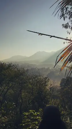 Cinematic Aesthetic