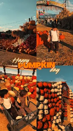 Pumpkin patch day