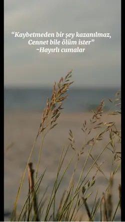 Hayırlı cumarlar