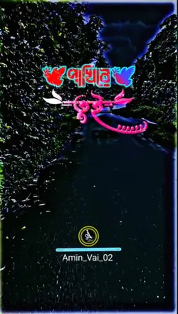 পাখিরে তুই 