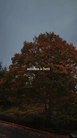 autumn is here