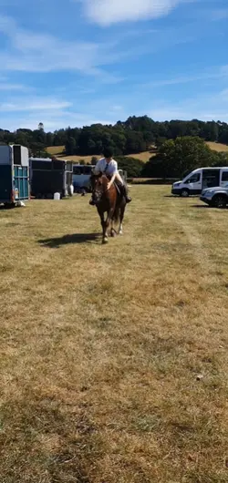 @Gweno.eq at a show