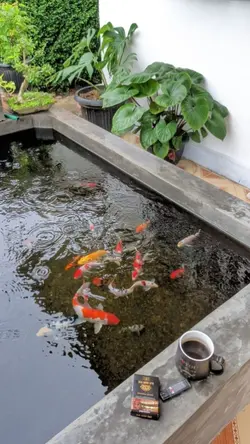 ibarat kamu melempar