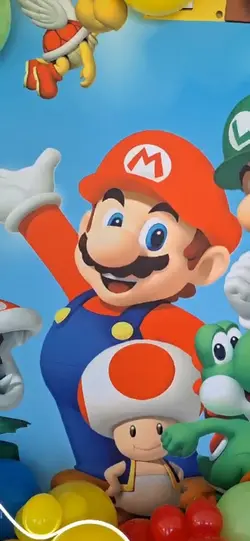 MARIO BROS