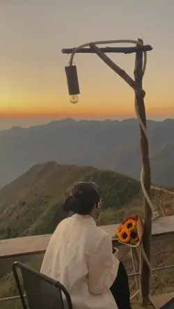 hanya lolongan