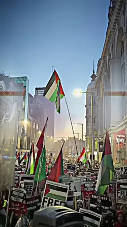 Free palestine