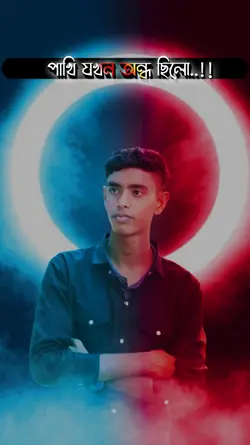 পাখি যকন অন্ধ ছিলো 