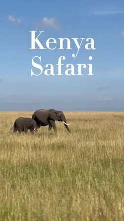 Kenya Safari 