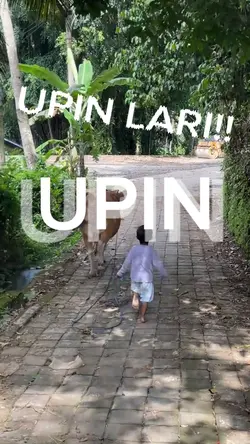 Upin Lari Upin