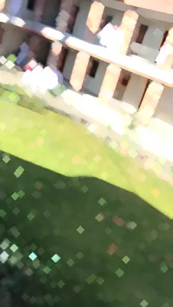 MEKY’s template 