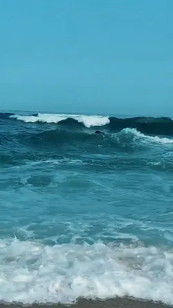HARI RAYO X SLOWMO