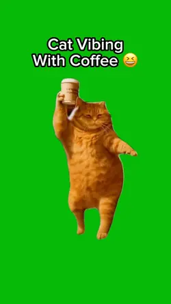 Cat Coffee Vibe 