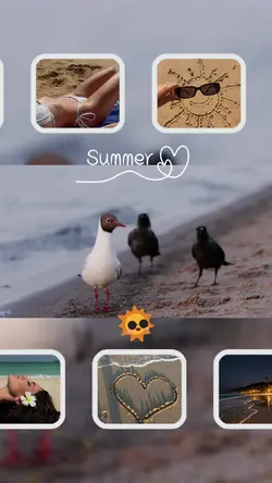 Summer verano