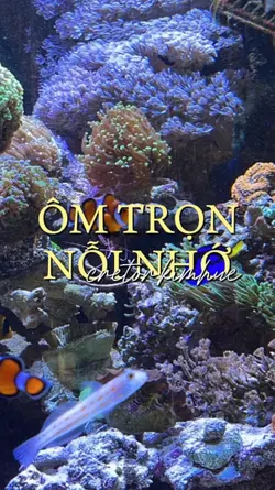 Ôm trọn nỗi nhớ 