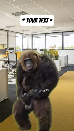 Crazy monkey