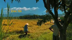 Bình Yên &Màu