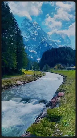 Paradise AGT