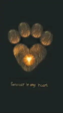 Dog rip