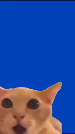 Shocked 