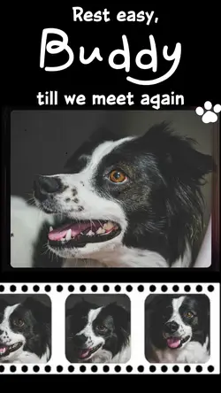 till we meet again