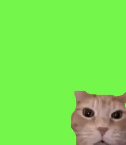 kucing ketawa viral