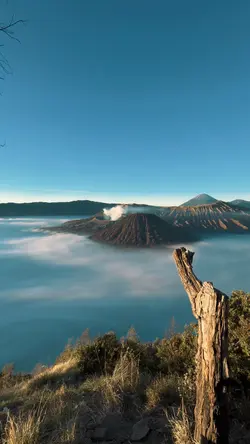 Aku yang jatuh cinta