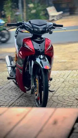 1 video + màu