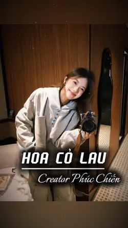 Hoa cỏ lau