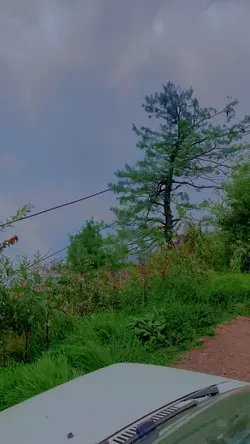 Beautiful view 