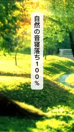 癒しの時間