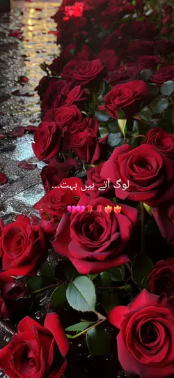 Urdu Poetry